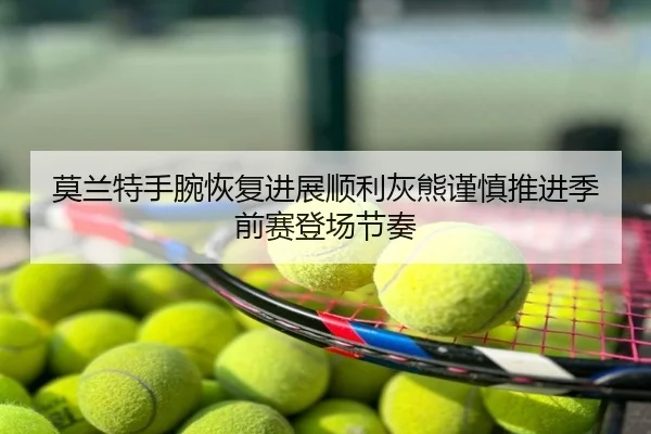 莫兰特手腕恢复进展顺利灰熊谨慎推进季前赛登场节奏